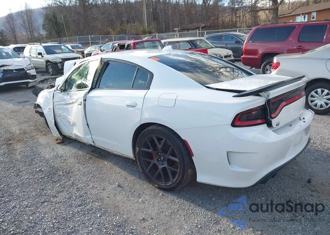 2C3CDXGJ3JH135029: 43804717