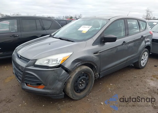 1FMCU0F74EUB95618: 43804750