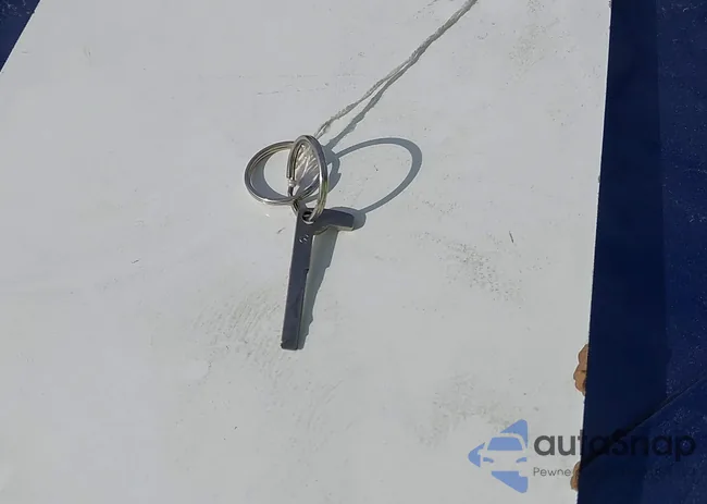 WDDPK3JA2HF137456: 43804784