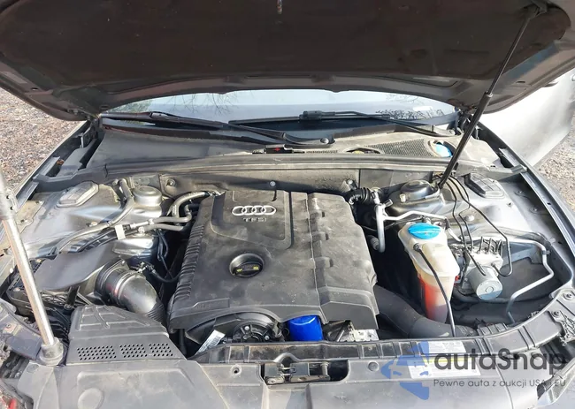 WAUMFAFR2FA032556: 43804847