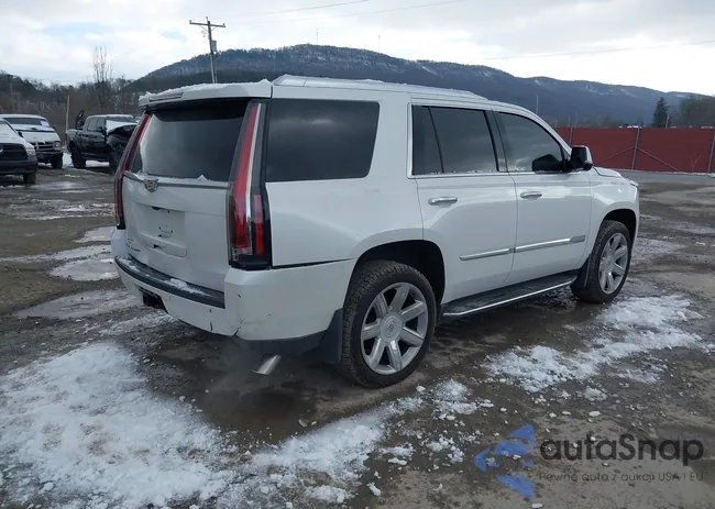 1GYS4BKJXHR407081: 43804864