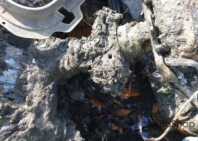 WBAJE7C52JWD53506: 43806156