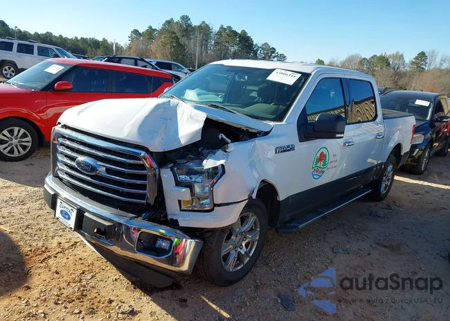 1FTEW1CF5FFC46302: 43806345