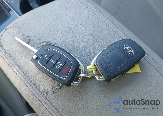 5NPE24AF4FH109129: 43805579