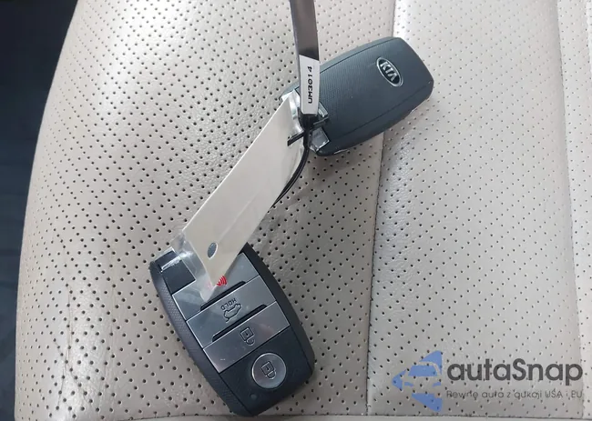 5XYPH4A51LG703341: 43805626