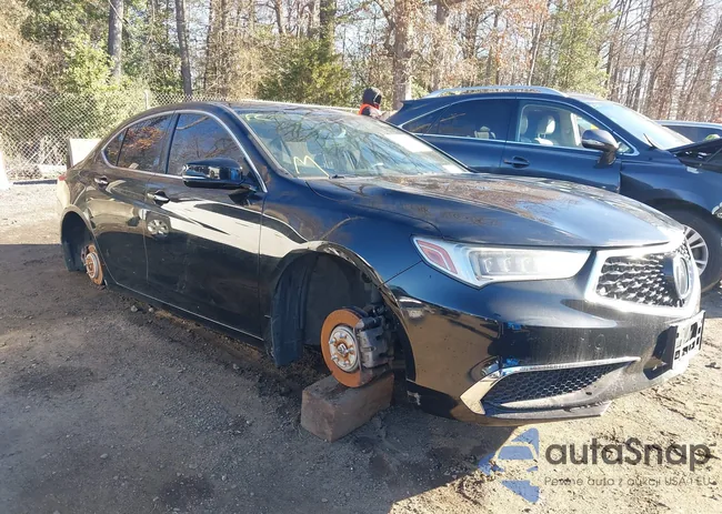 19UUB2F30LA002484: 43805726