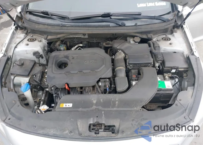 5NPE24AF1HH542832: 43805936