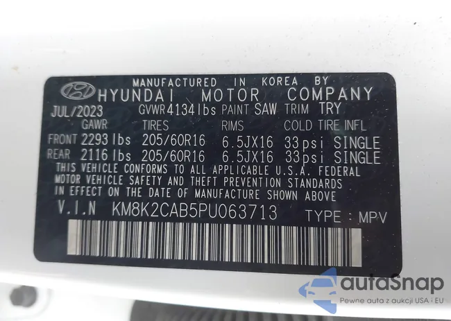 KM8K2CAB5PU063713: 43806968