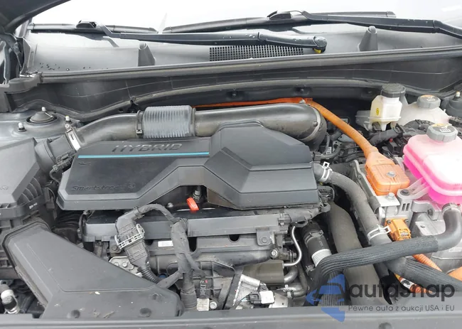 KNDPVCAG7P7067449: 43807116