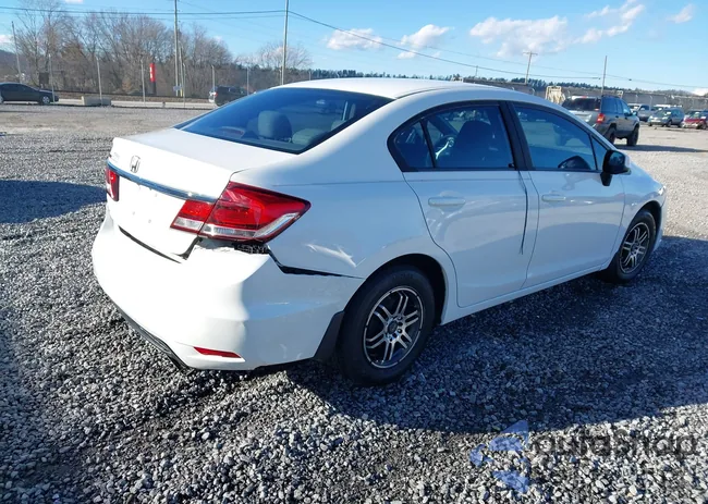 2HGFB2F55DH573983: 43808219