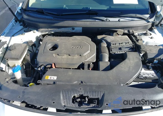 5NPE24AF4GH340825: 43808309