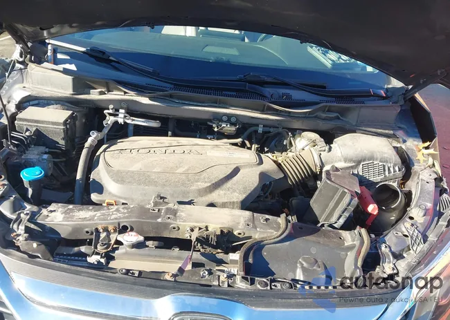 5FNRL6H73KB028995: 43807743