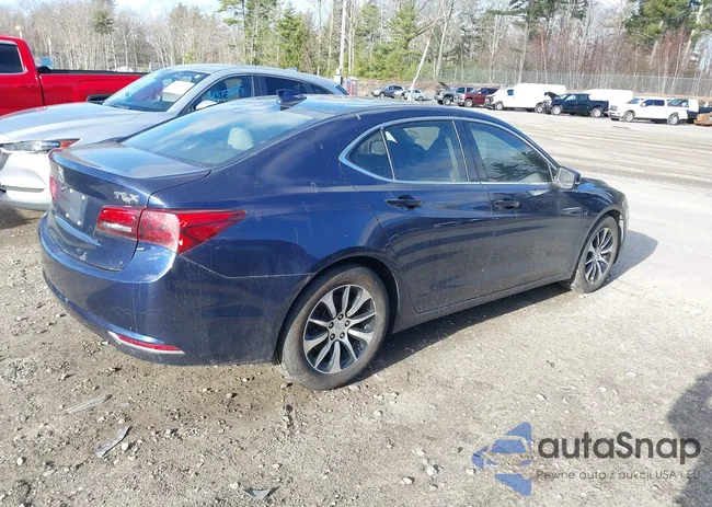 19UUB1F38FA028667: 43807895