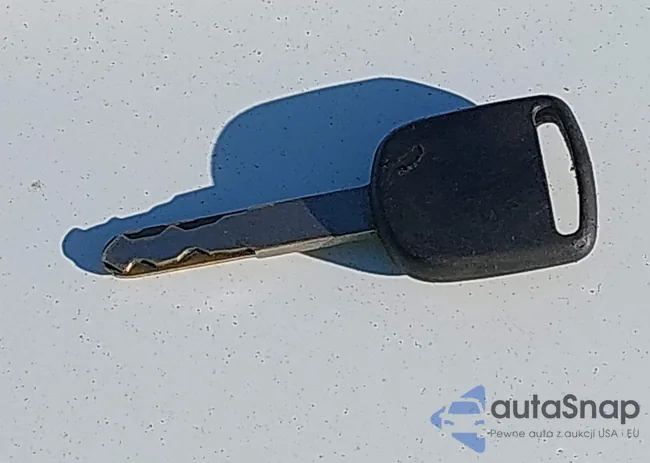 19XFC2F54GE247703: 43807925