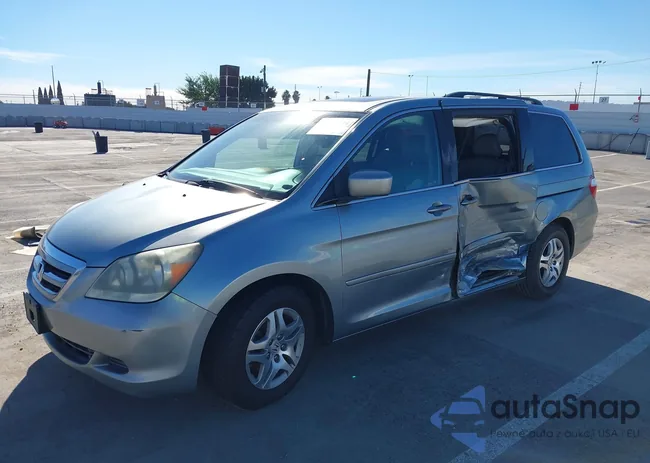 5FNRL38767B080501: 43809141