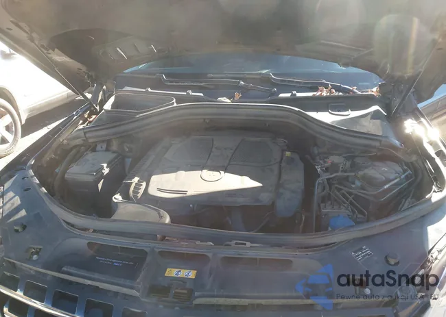 4JGDA5JB7EA405491: 43809239