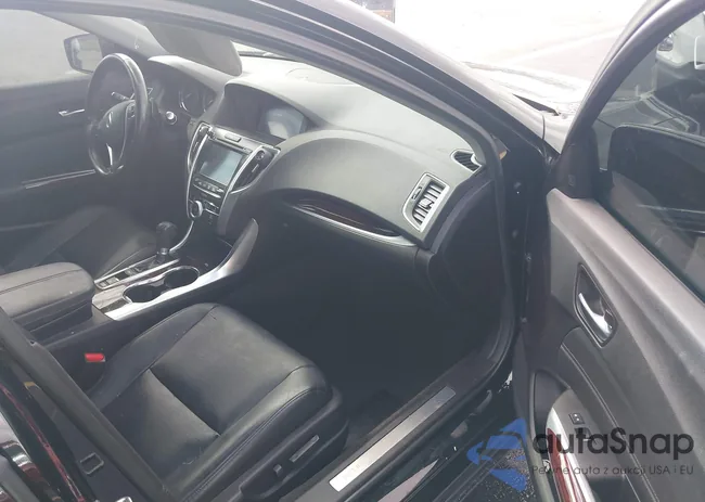 19UUB1F56FA029544: 43809336