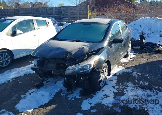 3KPFK4A75JE237535: 43809345