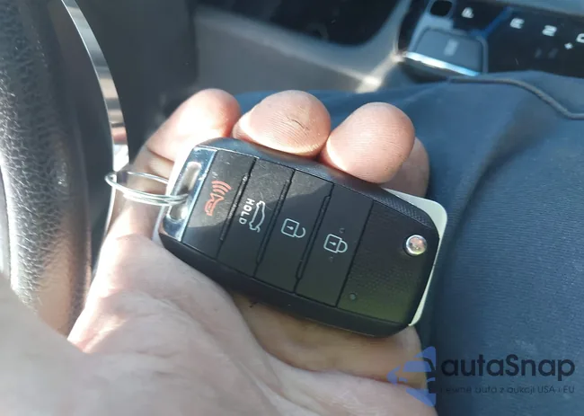 3KPFL4A74HE058068: 43809425