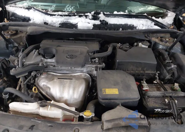 4T4BF1FK8DR331625: 43809443