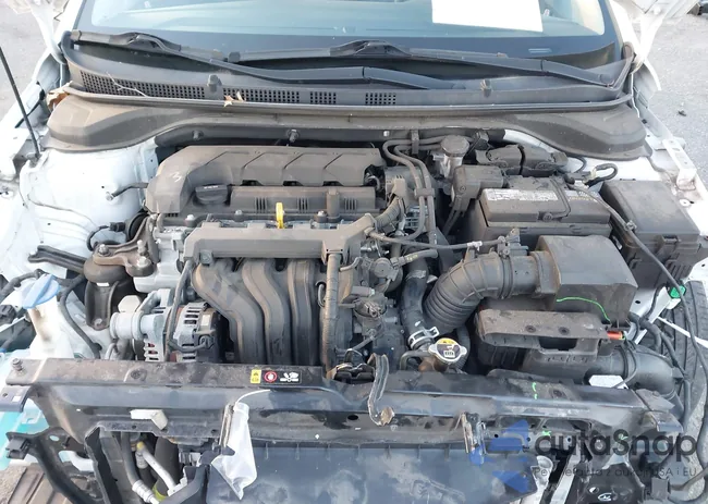 3KPC24A63LE114667: 43808872