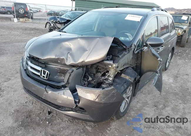 5FNRL5H4XFB054497: 43809951