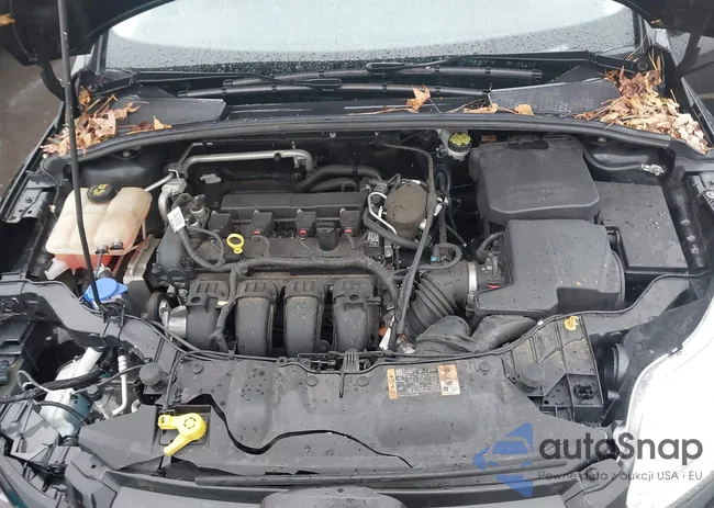 1FADP3F25EL402907: 43810002