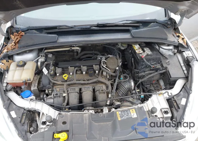 1FADP3N22GL298882: 43810085