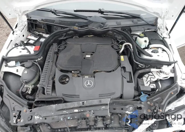 WDDGF8AB1DG088748: 43810325