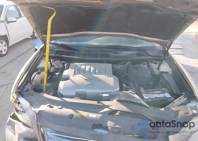 4T1BK3DB9AU370255: 43809689