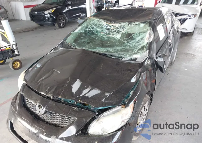 1NXBU4EEXAZ283490: 43809765