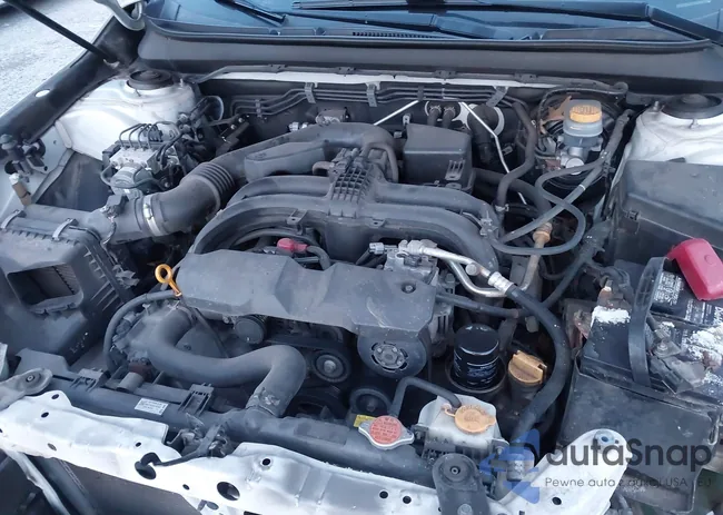 4S4BSBNC1G3260669: 43809868