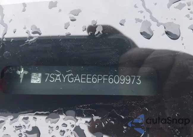 7SAYGAEE6PF609973: 43810971