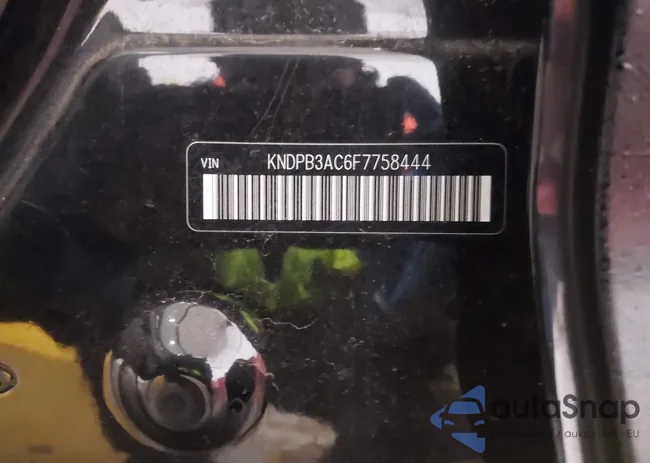 KNDPB3AC6F7758444: 43811082