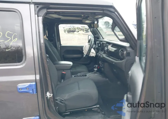 1C4HJXDN9MW684256: 43810876