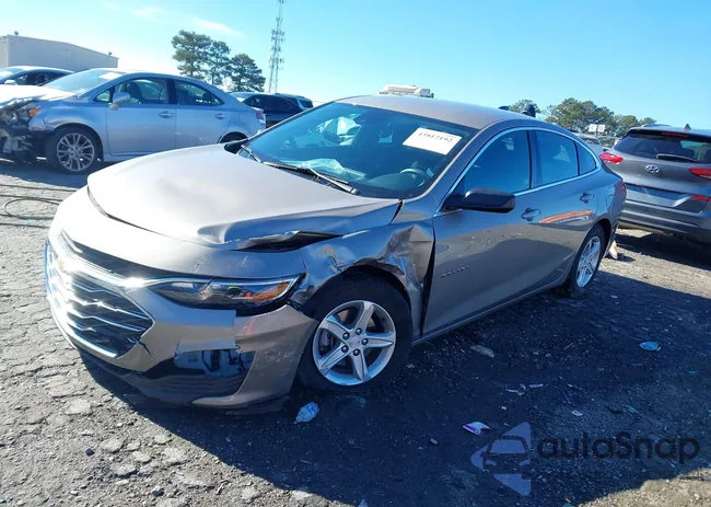 1G1ZB5ST1PF252216: 43812192