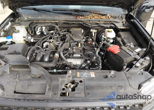 1FTER4PH1RLE53389: 43812209