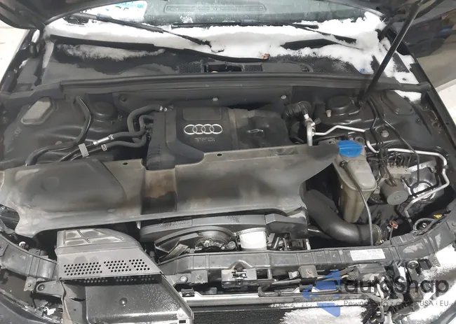 WAUFFAFL8DN016873: 43811631