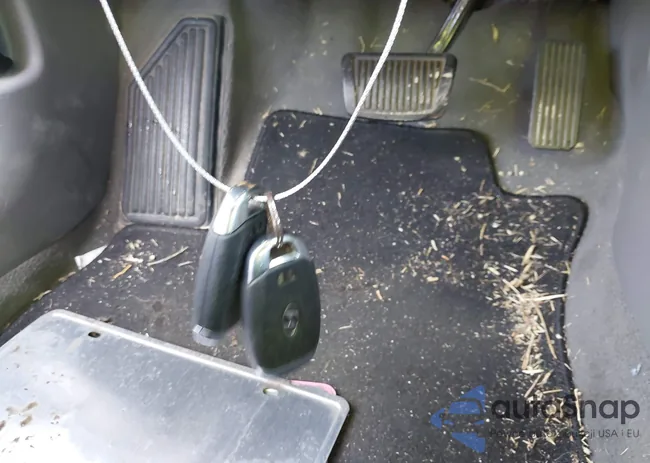 5NPLM4AG9MH032524: 43813319