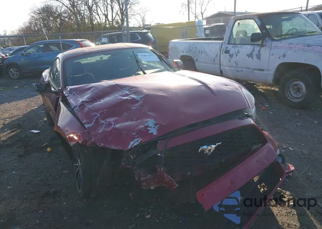 1FA6P8TH0F5380027: 43813412