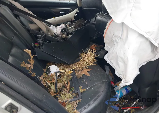 1N4AL3AP3EN239566: 43813502