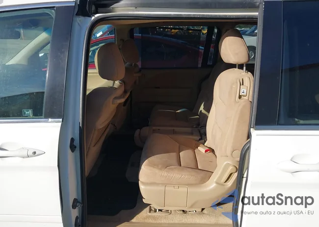 5FNRL38497B141491: 43812526