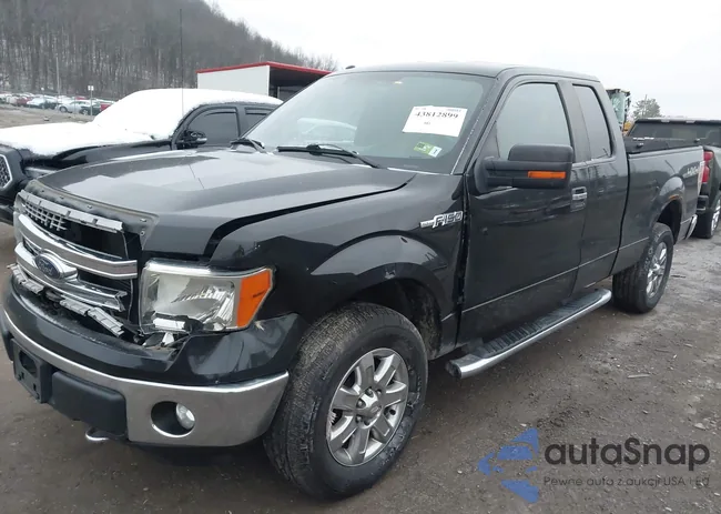 1FTFX1EF1DFA99861: 43812899