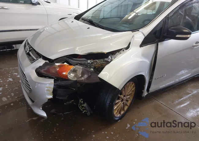 1FADP5AU7DL553086: 43813963