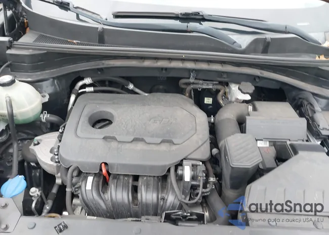 KNDPMCAC7J7390178: 43813740