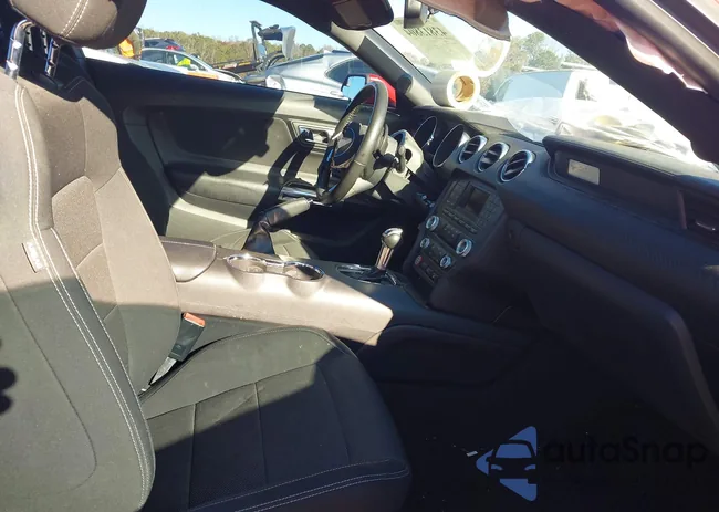 1FA6P8AM7F5384821: 43813804