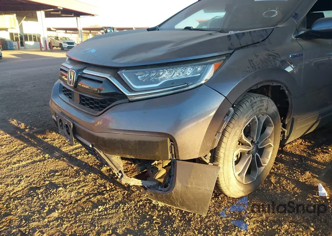 7FART6H81LE023616: 43815087