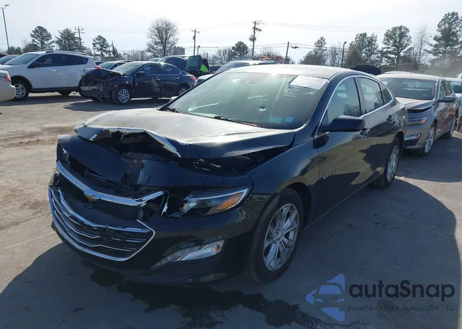 1G1ZD5ST7SF151703: 43815290