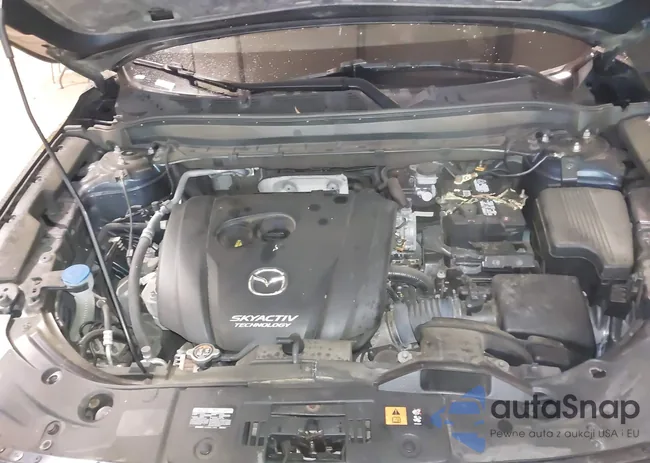 JM3KFBCM5K0595892: 43814762