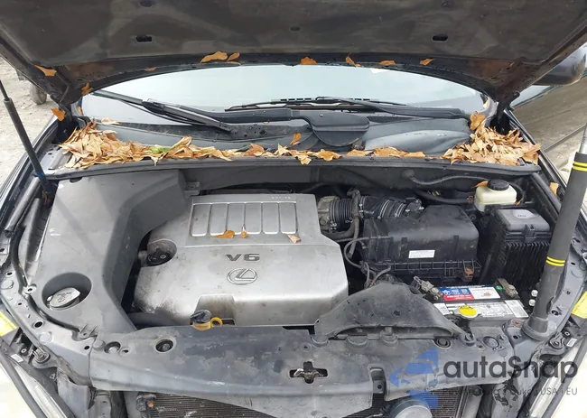 2T2HK31U28C071293: 43814764